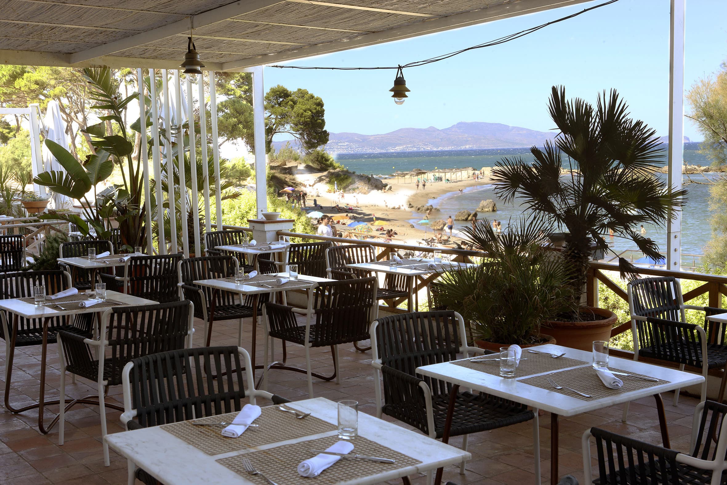 The Terrace